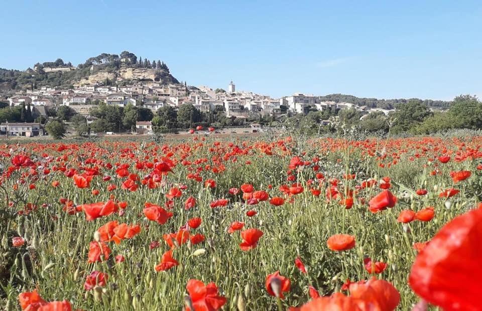 شقة L'Amanderaie Piscine Privee A Cote De Lourmarin Luberon كادينيت المظهر الخارجي الصورة