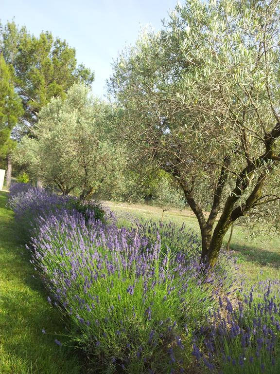 شقة L'Amanderaie Piscine Privee A Cote De Lourmarin Luberon كادينيت الغرفة الصورة